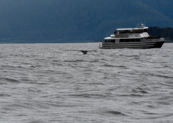 Alaska2016_LAK0976c