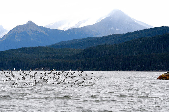 Alaska2016_LAK0942c