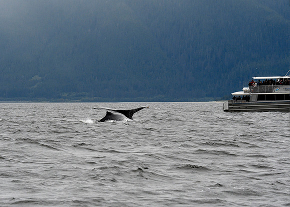 Alaska2016_LAK0969c