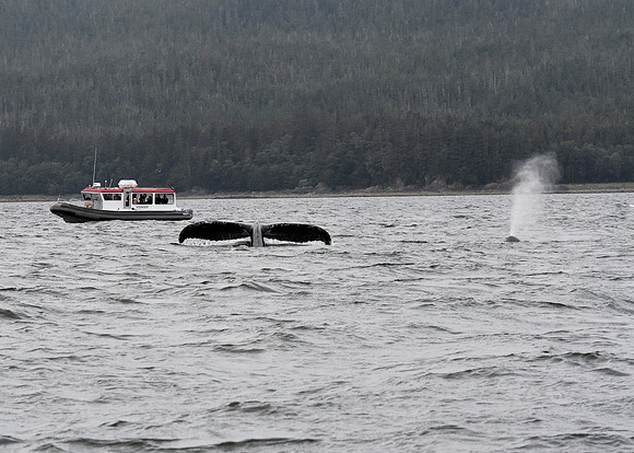 Alaska2016_LAK1082c