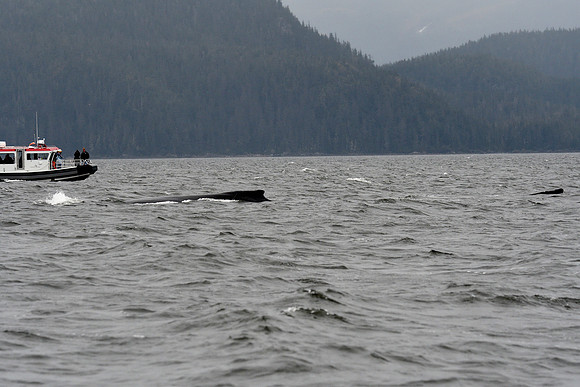 Alaska2016_LAK0994c