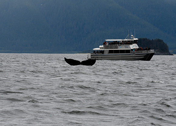 Alaska2016_LAK0978c