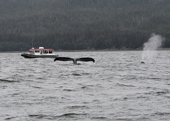 Alaska2016_LAK1083c