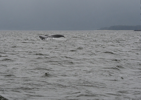 Alaska2016_LAK1021c
