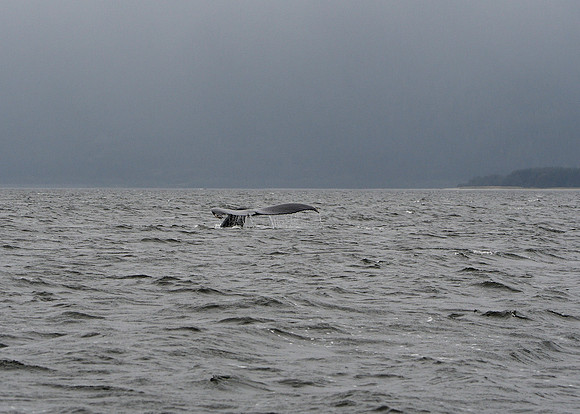 Alaska2016_LAK1022c