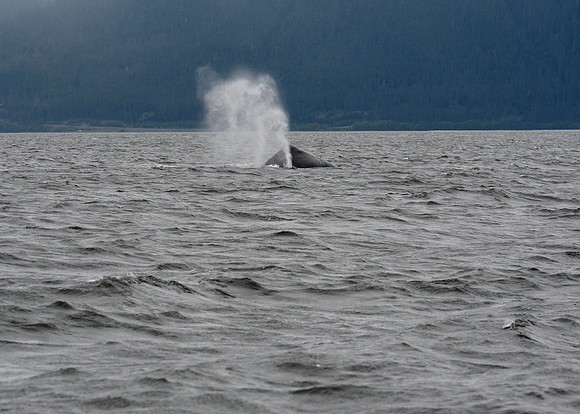 Alaska2016_LAK0966c