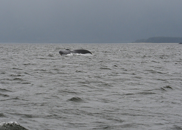 Alaska2016_LAK1020c