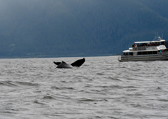Alaska2016_LAK0971c