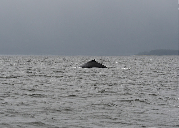 Alaska2016_LAK1016c