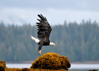 Alaska2016_LAK2433c