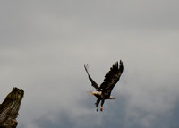 Alaska2016_LAK2400c