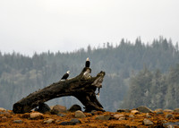 Alaska2016_LAK2381c