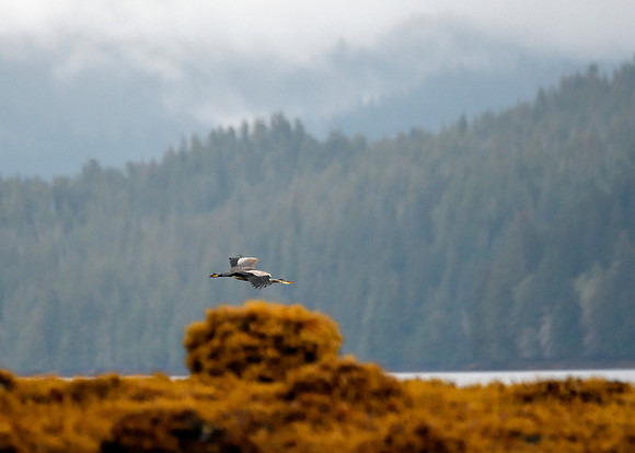 Alaska2016_LAK2456c