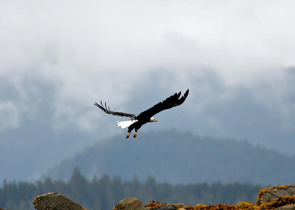 Alaska2016_LAK2402c