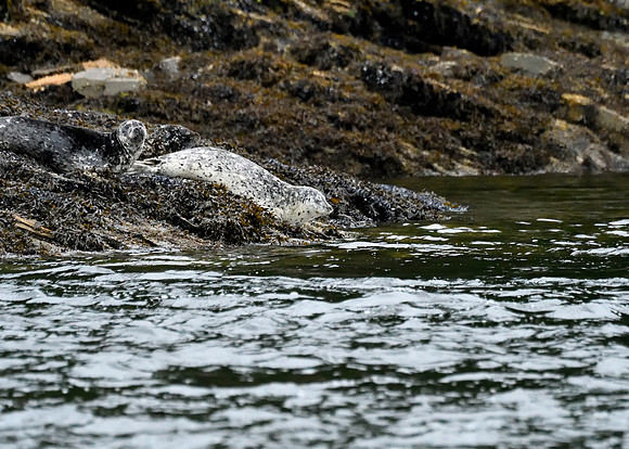 Alaska2016_LAK2544c