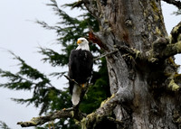 Alaska2016_LAK2307c