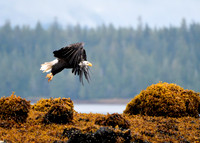 Alaska2016_LAK2431c