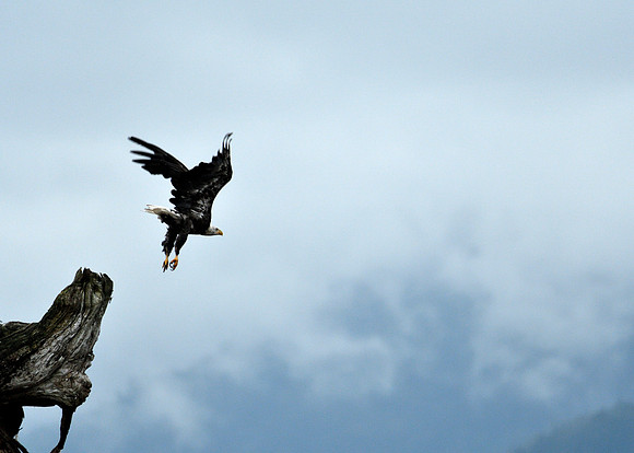 Alaska2016_LAK2398c