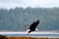 Alaska2016_LAK2437c