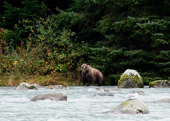 Alaska2016_LAK1363c