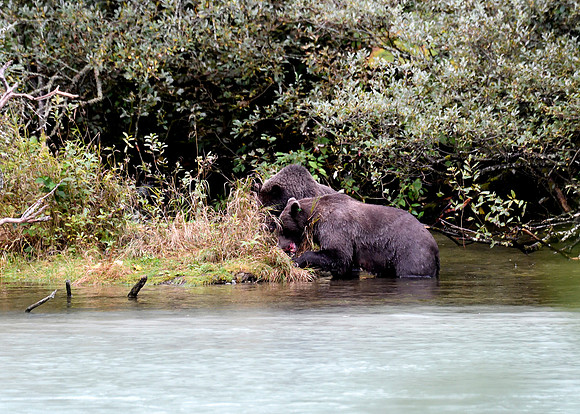 Alaska2016_LAK1703c