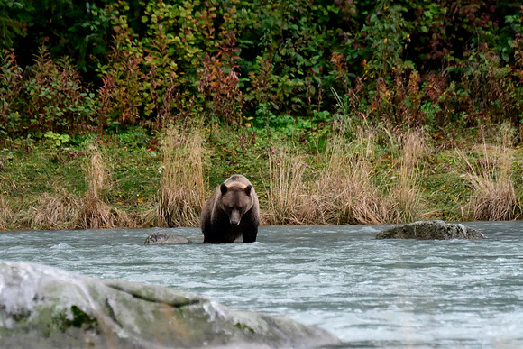 Alaska2016_LAK1518cc