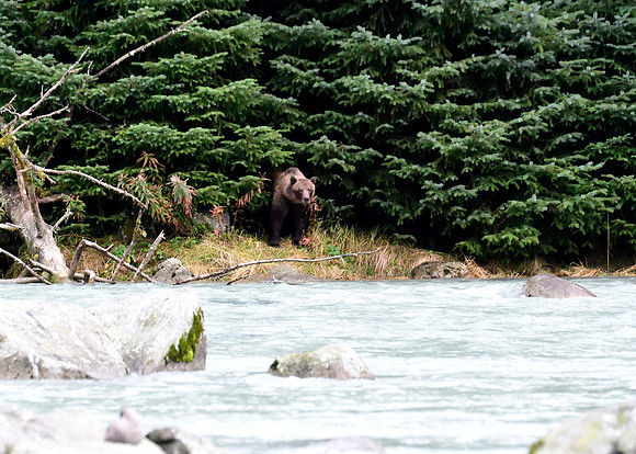 Alaska2016_LAK1394c