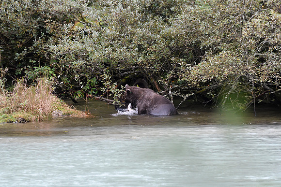 Alaska2016_LAK1683c