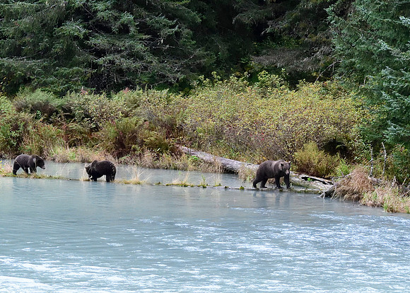 Alaska2016_LAK1648cc
