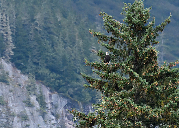 Alaska2016_LAK1592c