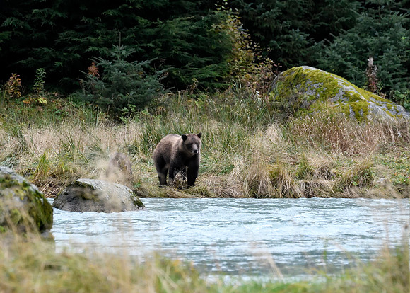Alaska2016_LAK1293c