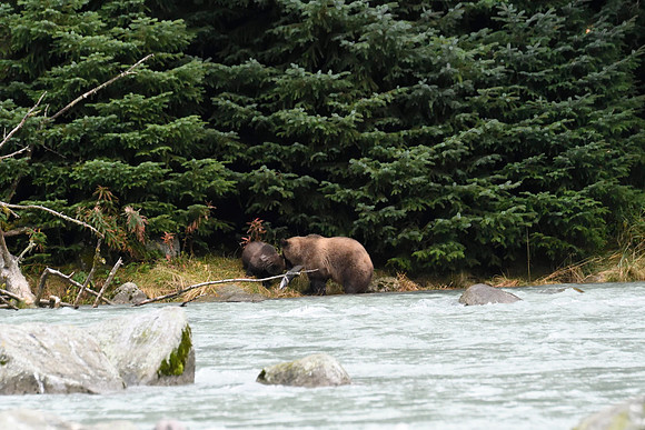 Alaska2016_LAK1384c