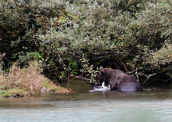 Alaska2016_LAK1683cc