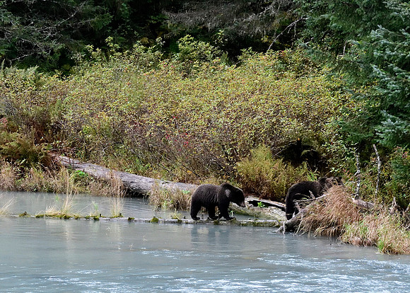Alaska2016_LAK1651cc