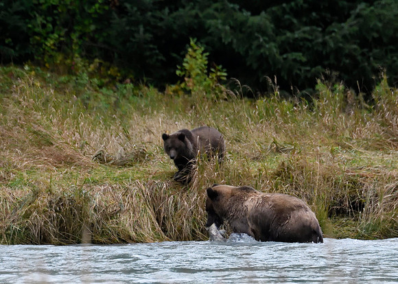 Alaska2016_LAK1566c