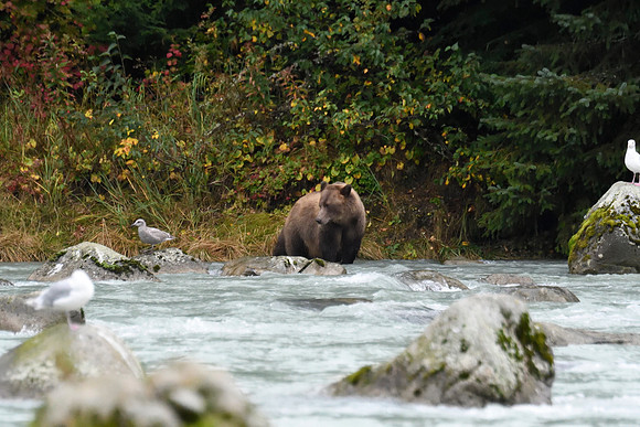 Alaska2016_LAK1497c