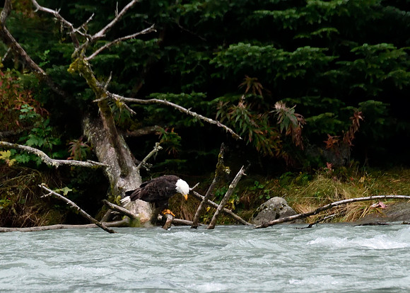 Alaska2016_LAK1585c