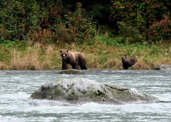 Alaska2016_LAK1298c