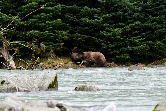 Alaska2016_LAK1385c