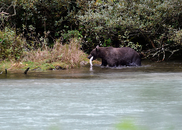 Alaska2016_LAK1693cc