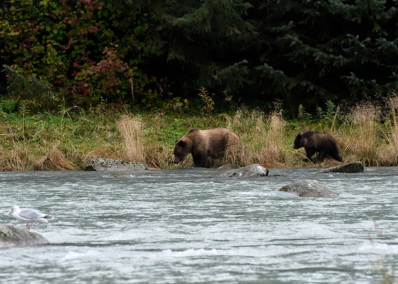Alaska2016_LAK1295c