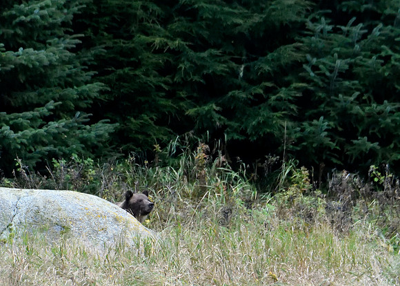 Alaska2016_LAK1590c