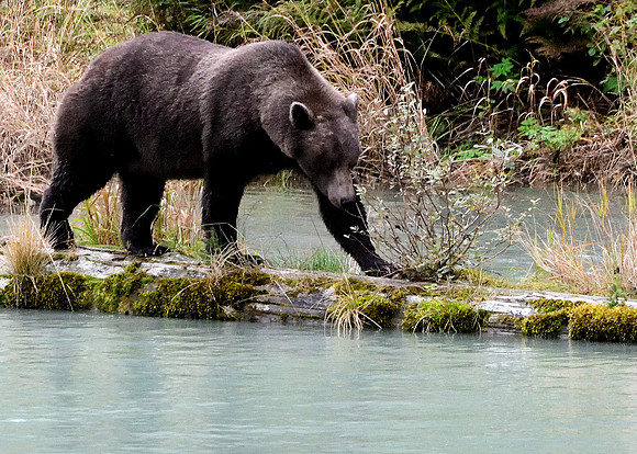 Alaska2016_LAK1641c