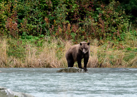 Alaska2016_LAK1521cc