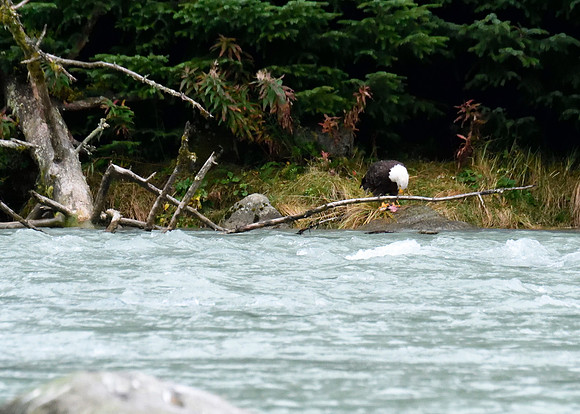 Alaska2016_LAK1559ccc
