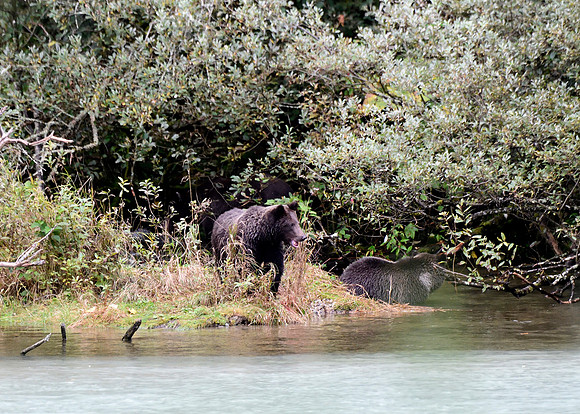 Alaska2016_LAK1707c