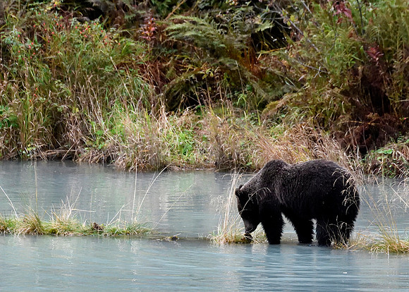 Alaska2016_LAK1647c