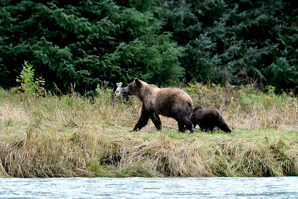 Alaska2016_LAK1533c
