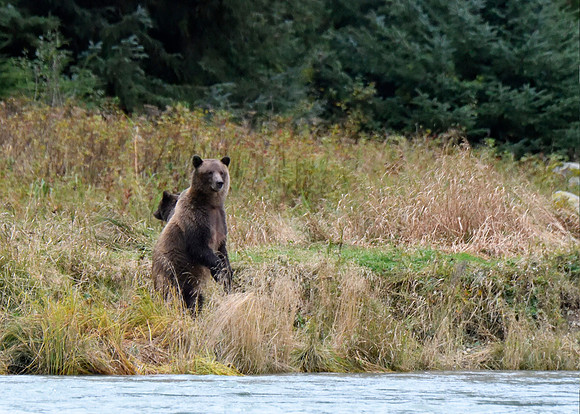 Alaska2016_LAK1600cc
