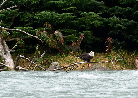 Alaska2016_LAK1562c